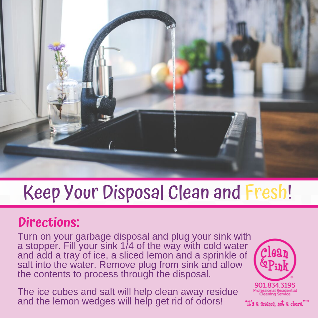 Clean & Pink Co minimize kitchen messes reduce kitchen clutter keep kitchen clean holidays memphis tn residential cleaning services residential cleaning companyKeep your disposal clean and fresh residential cleaning
