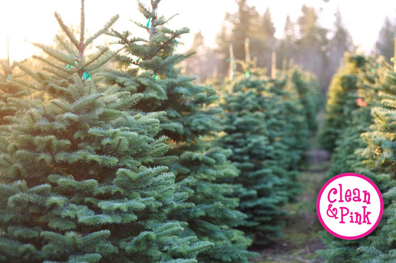OH CHRISTMAS TREE - Why do you leave the pine behind! - Memphis Cleaning Service